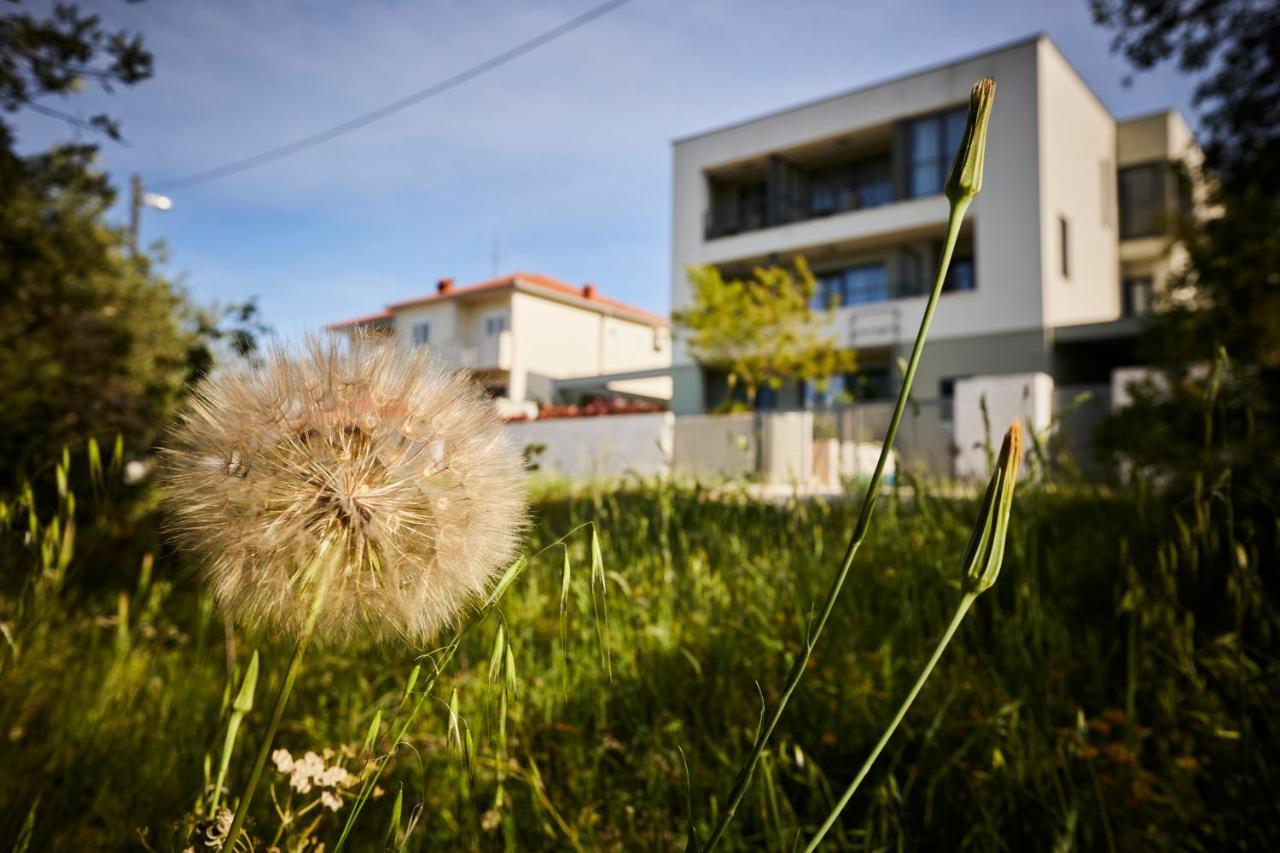 סופטאר Villa Grdelina מראה חיצוני תמונה