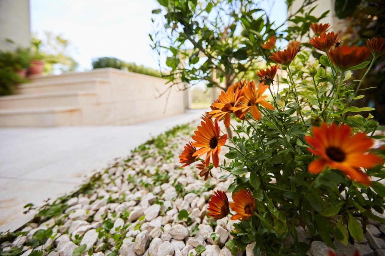 סופטאר Villa Grdelina מראה חיצוני תמונה